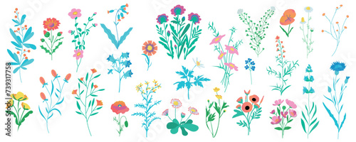 Field flowers mega set in cartoon graphic design. Bundle elements of chamomile, cornflower, poppy, bluebell, daisy and other wildflowers and flowering herbs. Vector illustration isolated objects photo