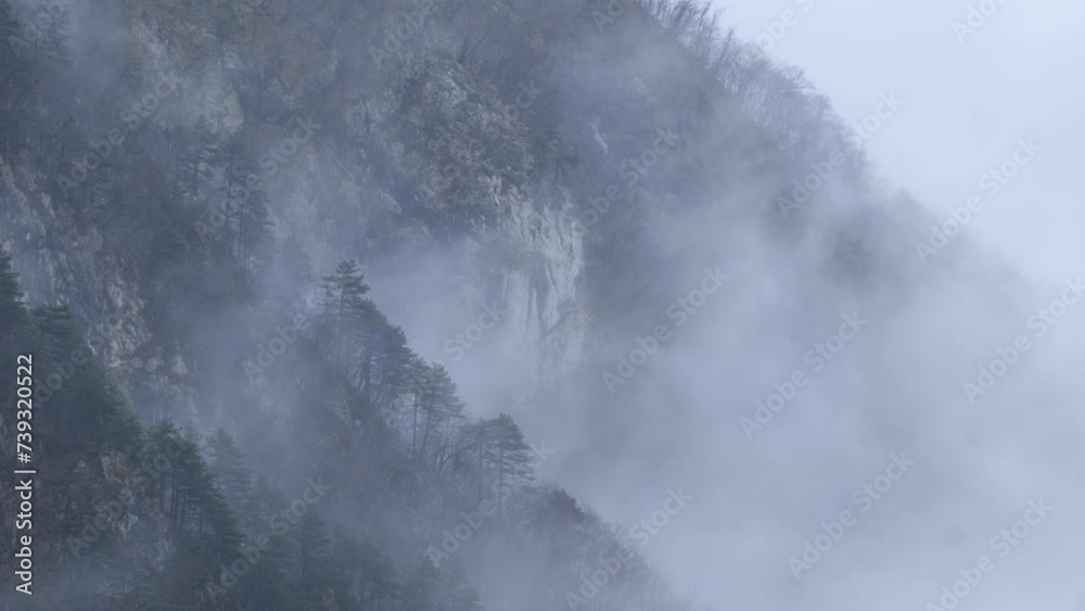 Misty Forest Covered Mountains in Canal del Ferro Mountain Valley in Italy near Udine Europe Misty Forest Covered Mountains in Canal del Ferro Mountain Valley in Italy near Udine Europe