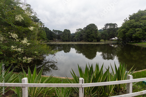 SÃO PAULO, SP, BRAZIL - FEBRUARY 03, 2024: Agaves planted on the lakeshore of Alberto Lofgren State Park, better known as Horto Florestal (forest garden). photo