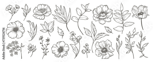 Collection of sketches of peonies flowers. Hand drawn minimal flowers in line art style. Trendy botanical elements of plants, branches and leaves. Vector illustration