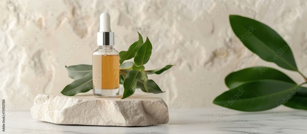 Organic serum bottle resting on a moss-covered rock surrounded by vibrant green foliage Organic serum bottle resting on a moss-covered rock surrounded by vibrant green foliage