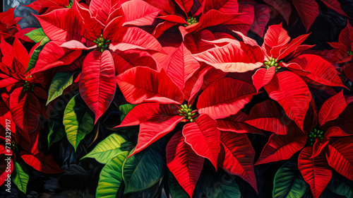 A vibrant red poinsettia thrives in a garden  adding festive charm and color to the outdoor space.