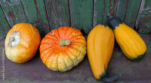 Four decorative pumpkins on a green background photo