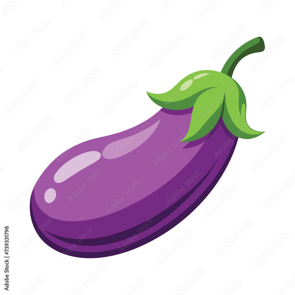 Vector of a Brinjal illustration on white Vector of a Brinjal illustration on white