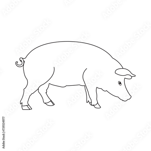 Pig icon vector