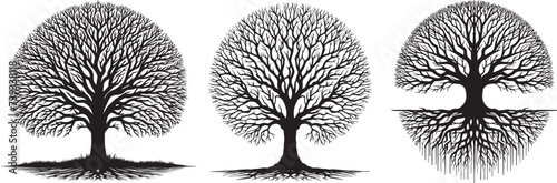 tree set, tree of life monogram, family tree with roots, vector decoration #739338118
