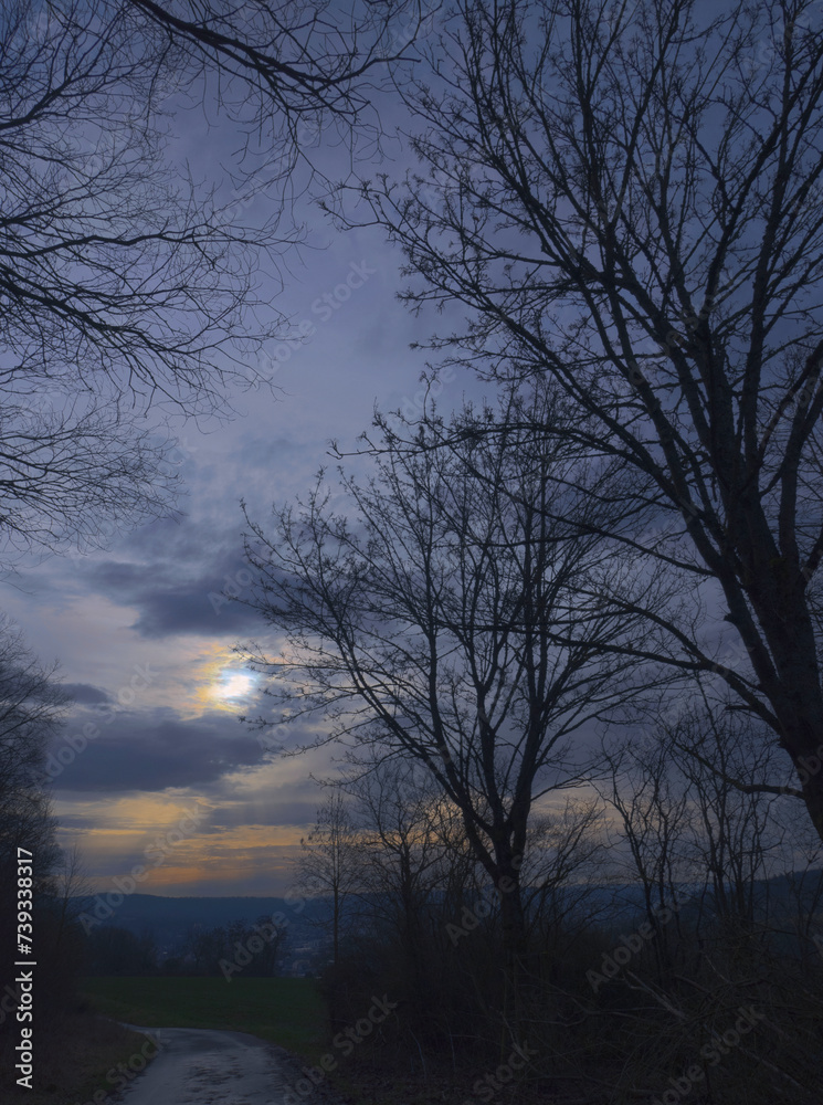Natur in Marburg, Abendstimmung Feldweg Ockershausen Natur in Marburg, Abendstimmung Feldweg Ockershausen