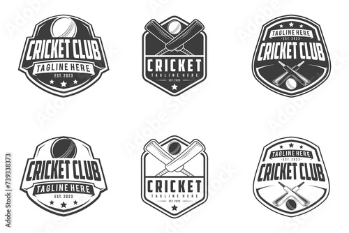 Cricket Logo Badge emblem, cricket team sport design, sticks and cricket ball vector monochrome style