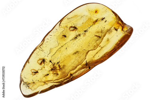 Baltic amber with 30 gnats (Sciaridae) isolated on white background photo