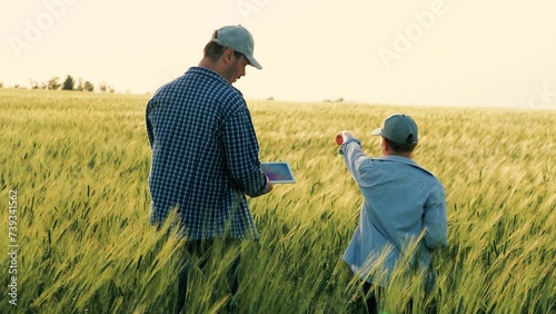 child kid baby son boy with father farmer working wheat field, agriculture, farmer with tablet inspecting wheat ripening field, family farming business, little son child helping father farmer green