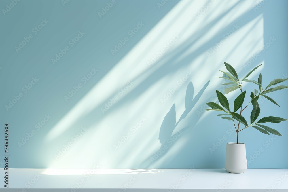 A serene scene of a plant in a white vase casting shadows on a soft blue wall.