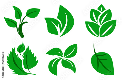 A set of green leaves on a white background  for logos  designs  for the symbolism of the green planet
