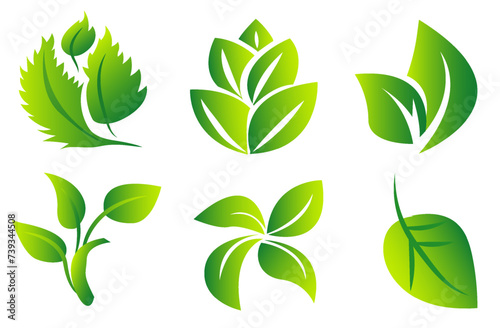 A set of green leaves on a white background, for logos, designs, for the symbolism of the green planet