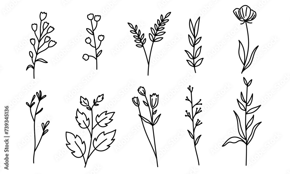 Collection of sketched wildflowers and leaves, on white background. Artistic flora depiction - obrazy, fototapety, plakaty 