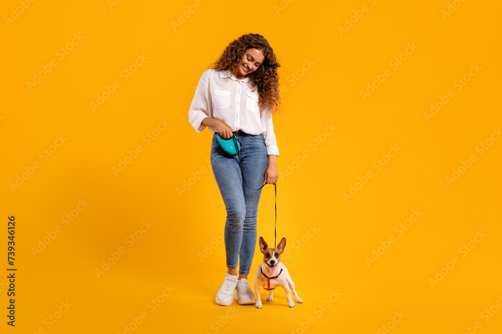 Female owner with leash looking at her seated Jack Russell Female owner with leash looking at her seated Jack Russell