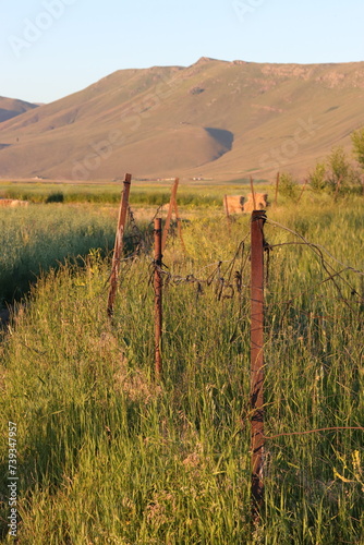 Warm sunset over a tranquil rural landscape with expansive fields and a rural field and distant mountain. photo