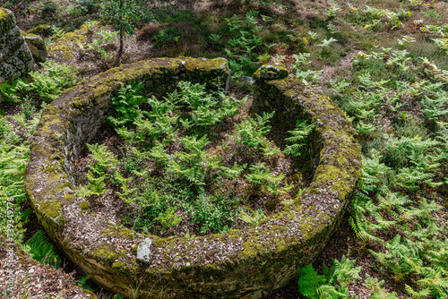 Overview of the ruins of a residential core of the acropolis of the Archaeological site of Citania de Briteiros. Guimarães, Portugal. photo