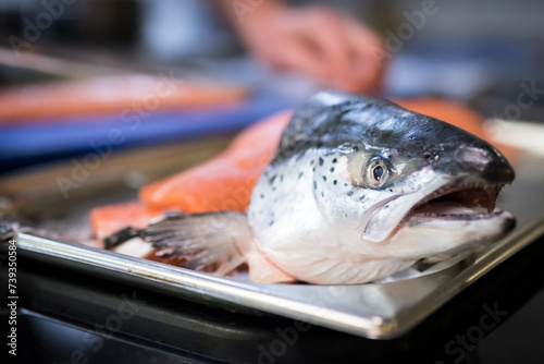 fresh fish on the counter