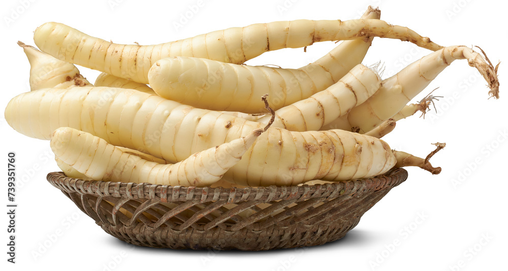 organic arrowroot rhizomes on a tray, maranta arundinacea, tropical plant known for starchy rhizomes harvested for various culinary purposes, as gluten free alternative, isolated on white background