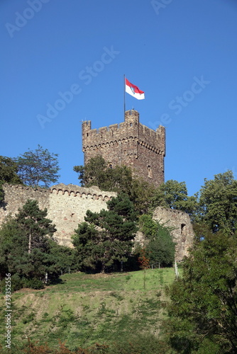 Burg Klopp in Bingen