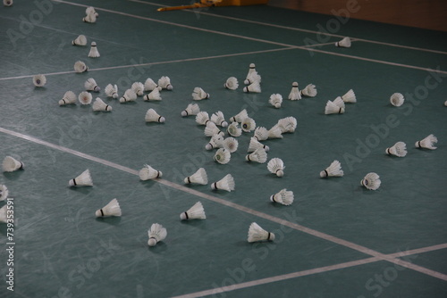 Shuttlecock on the badminton court