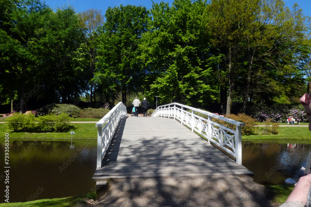 Naklejka premium Rhododendronparken Bronderslev
