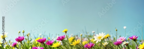 Banner spring flowers with free space in pastel colors  © Kateryna