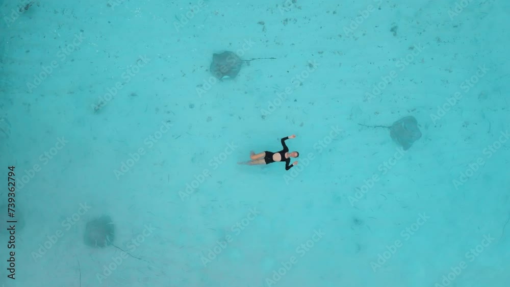 Woman swimming with stingray on Maldives. Sting ray fishes swims in blue sea, aerial view Woman swimming with stingray on Maldives. Sting ray fishes swims in blue sea, aerial view
