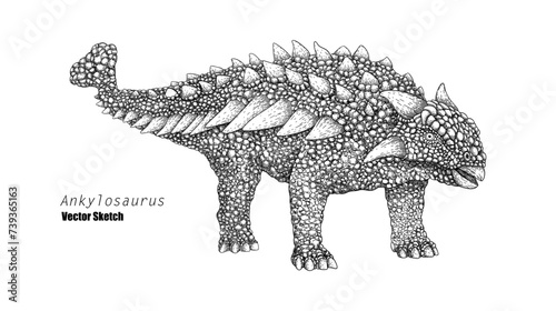Ankylosaurus. Dinosaur sketch drawing. Black and white. Hand drawn vector art. line art