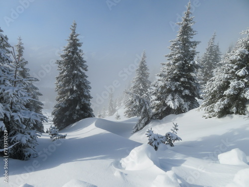 Gamskopf Füssener Jöchle im Winter photo