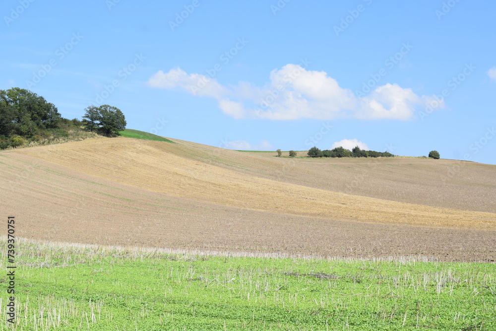 wave shaped farmland hills