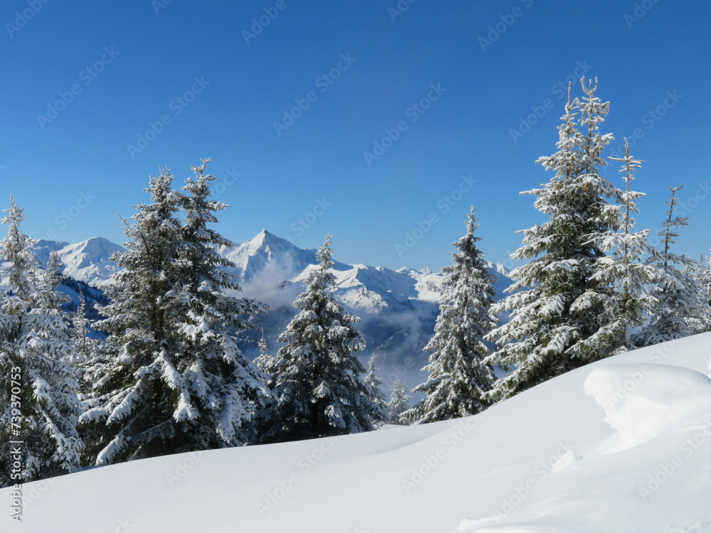 Gamskopf Füssener Jöchle im Winter