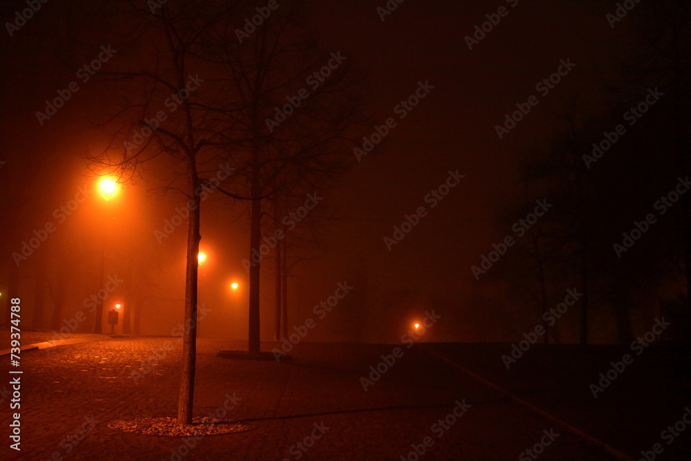winter, night and fog 