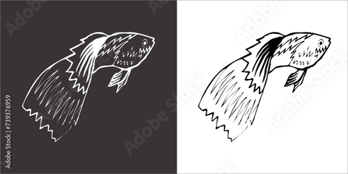 llustration vector graphics of fish icon