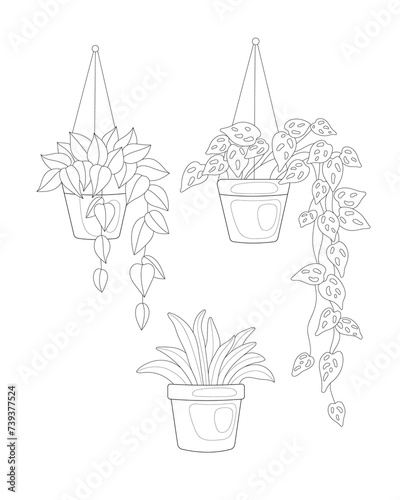 Indoor plants in flowerpots. Black and white vector illustration. Coloring.