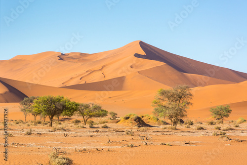 Beeindrückende Dünenlandschaft