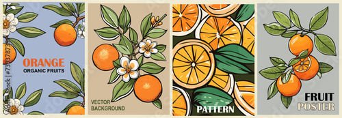 Set of Orange background, pattern, cover. Vector hand drawn illustrations of oranges with flowers and leaves for poster, card, packaging design.