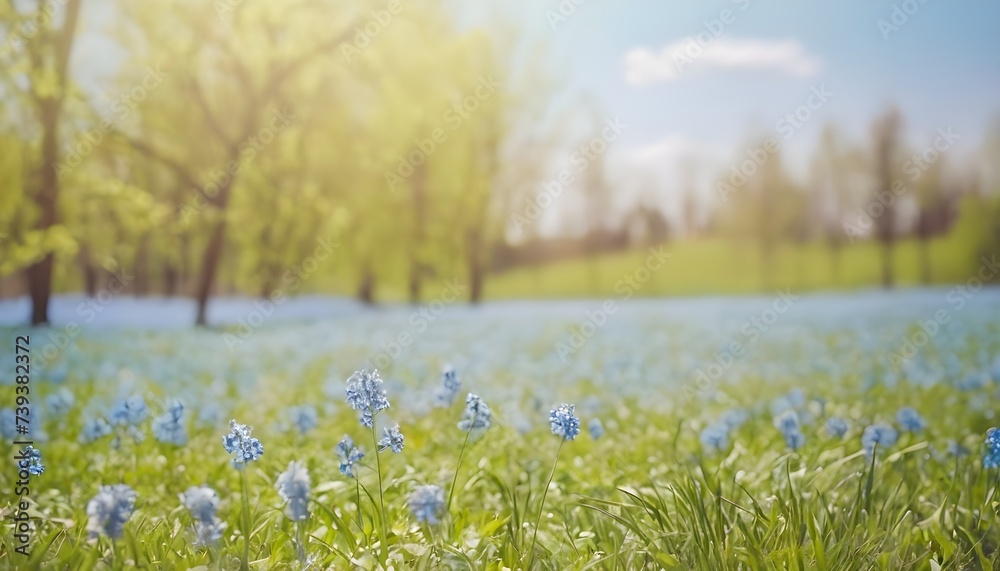 Beautiful-blurred-spring-background-nature-with-fields-of-flowers--trees-and-blue-sky-on-a-sunny-day-with-bokeh-effect