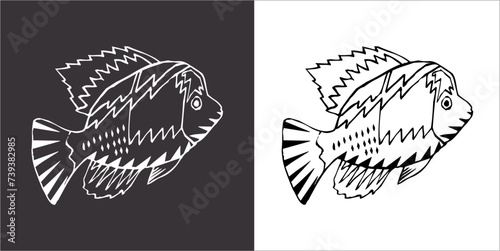 llustration vector graphics of fish icon