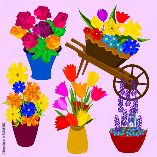 Vector - flower sortiments in different pots, illustration. photo