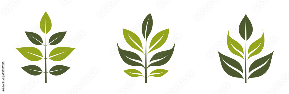 green twig icons. eco friendly, botanical and organic symbols. isolated vector images