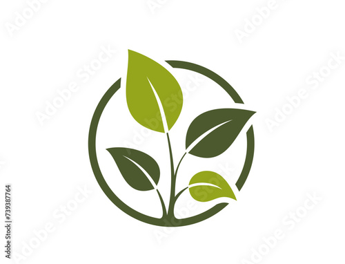natural product icon. sprout in a circle. eco friendly, organic and bio symbol. isolated vector illustration