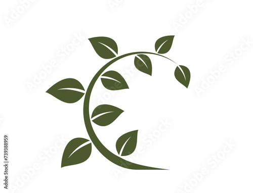 twisted green twig icon. botanical, plant and growing symbol. isolated vector image