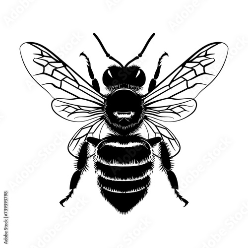 Silhouette bee animal black color only full body