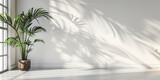 wall with shadow of tropical palm botany tree leaf pattern natural design template mock up for advertising backdrop, pastel colors