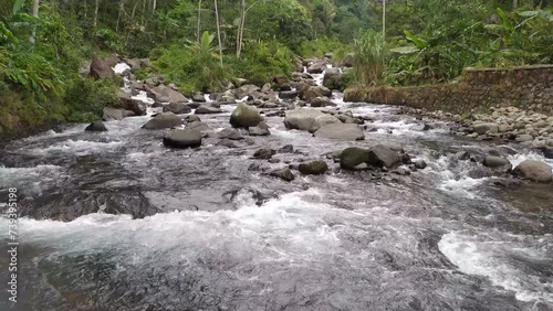 water flowing into the tropical river