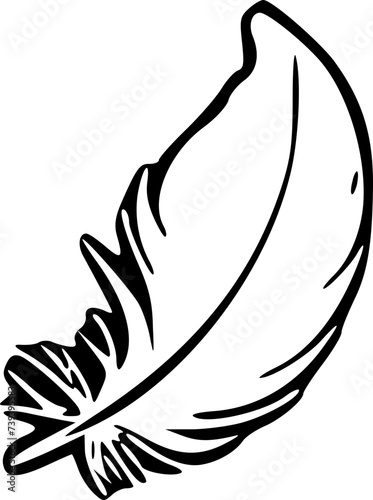 SVG Feather Vector Illustration Decorative Design