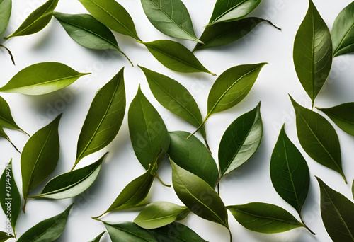 tea leaves on minimal background, drink 