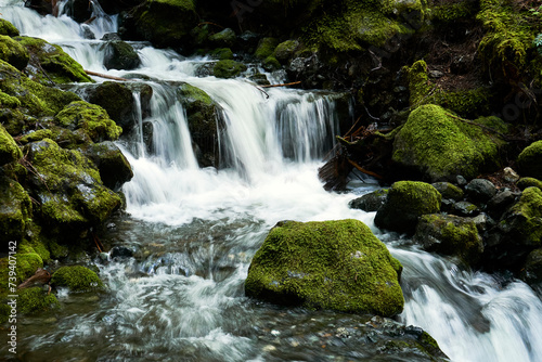 Fototapeta Naklejka Na Ścianę i Meble -  A beautiful waterfall rushing down a rocky river bed amongst rocks covered in brilliant greeen moss.