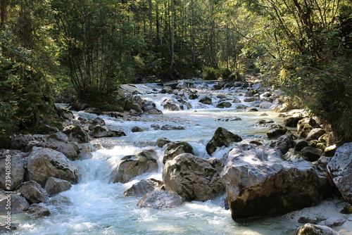 reißende Fluss im Waldstück photo